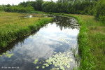 Mokkelengoor